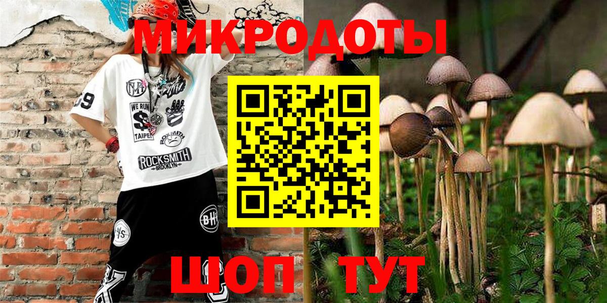 Псилоцибиновые грибы мицелий Балашов