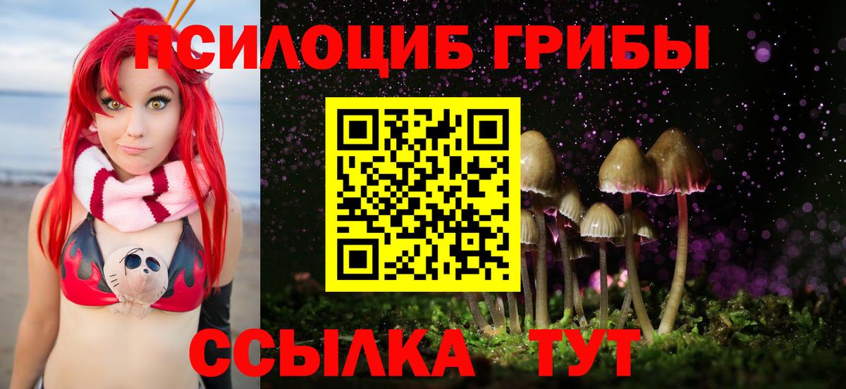 Псилоцибиновые грибы Magic Shrooms  где купить   Галлюциногенные грибы Psilocybe  Балашов  Вход с VPN 
